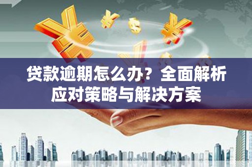 四湖贷款逾期怎么办？全面解析应对策略与解决方案