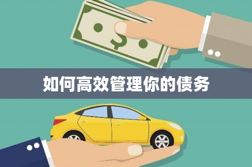 大社如何高效管理你的债务