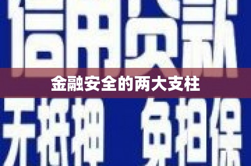 余杭金融安全的两大支柱