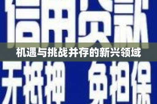 新兴机遇与挑战并存的新兴领域
