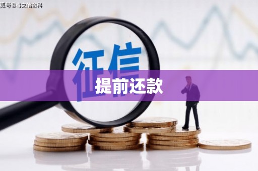 武陟提前还款