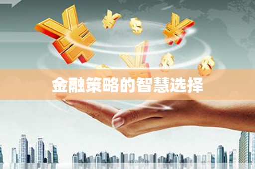 白沙金融策略的智慧选择