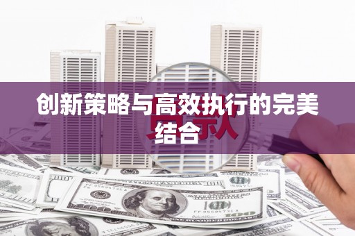 朔城创新策略与高效执行的完美结合